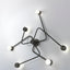 CONSTELLATION