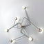 CONSTELLATION