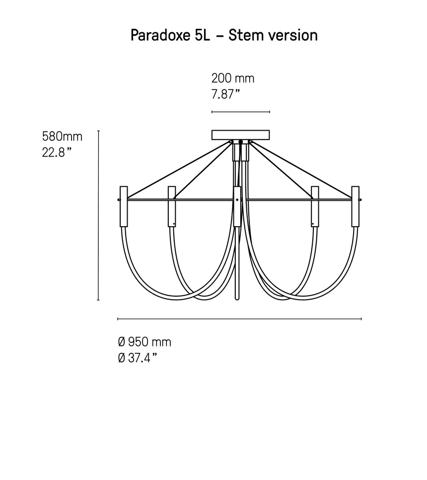 PARADOXE STEM